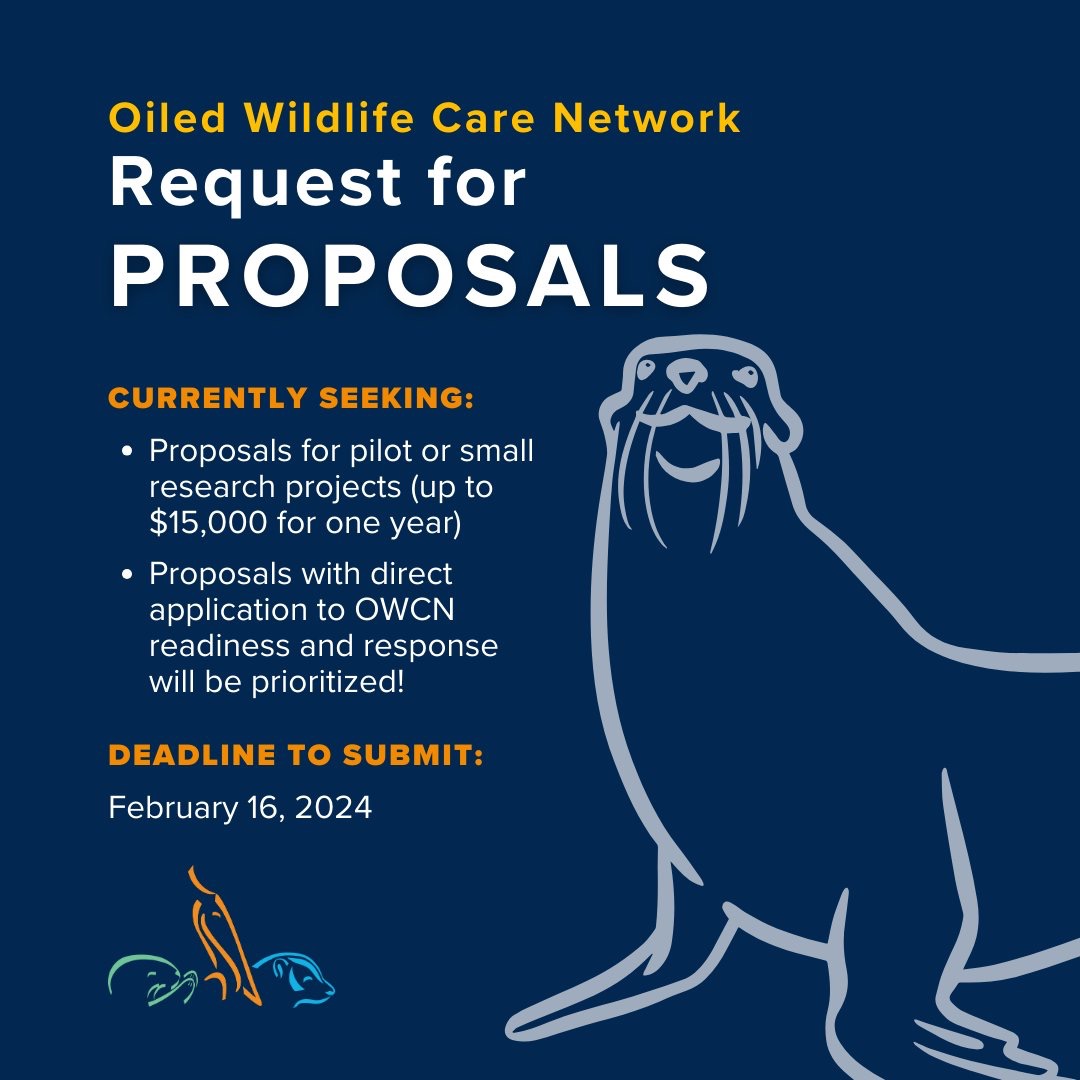 research proposals graphic