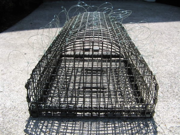 Rapor Snare Mat