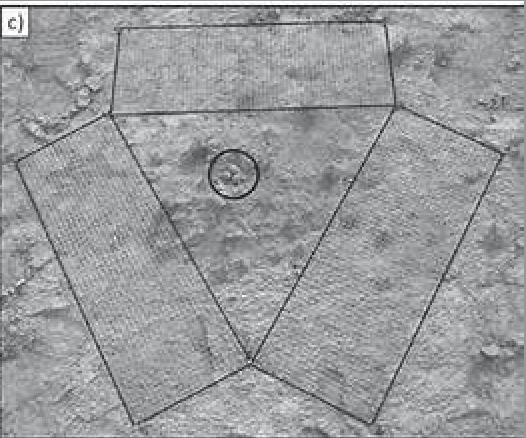 Diagram of snare mats placed around snowy plover nest.