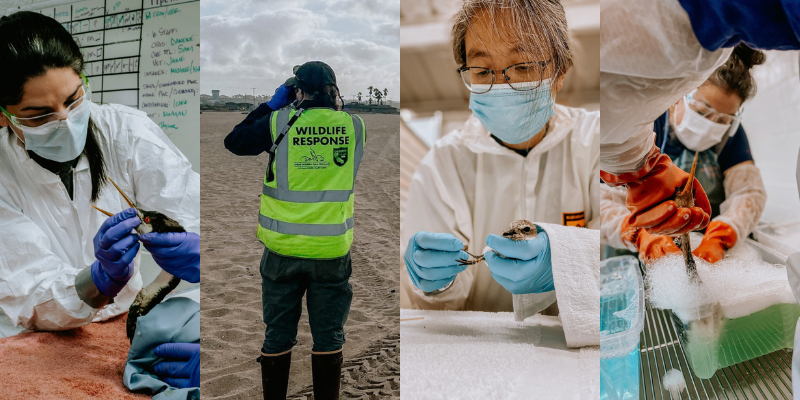 PPE medical worker, high-visibility responder in mud, masked lab tech, caregiver with newborn