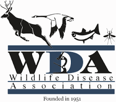 WDA logo