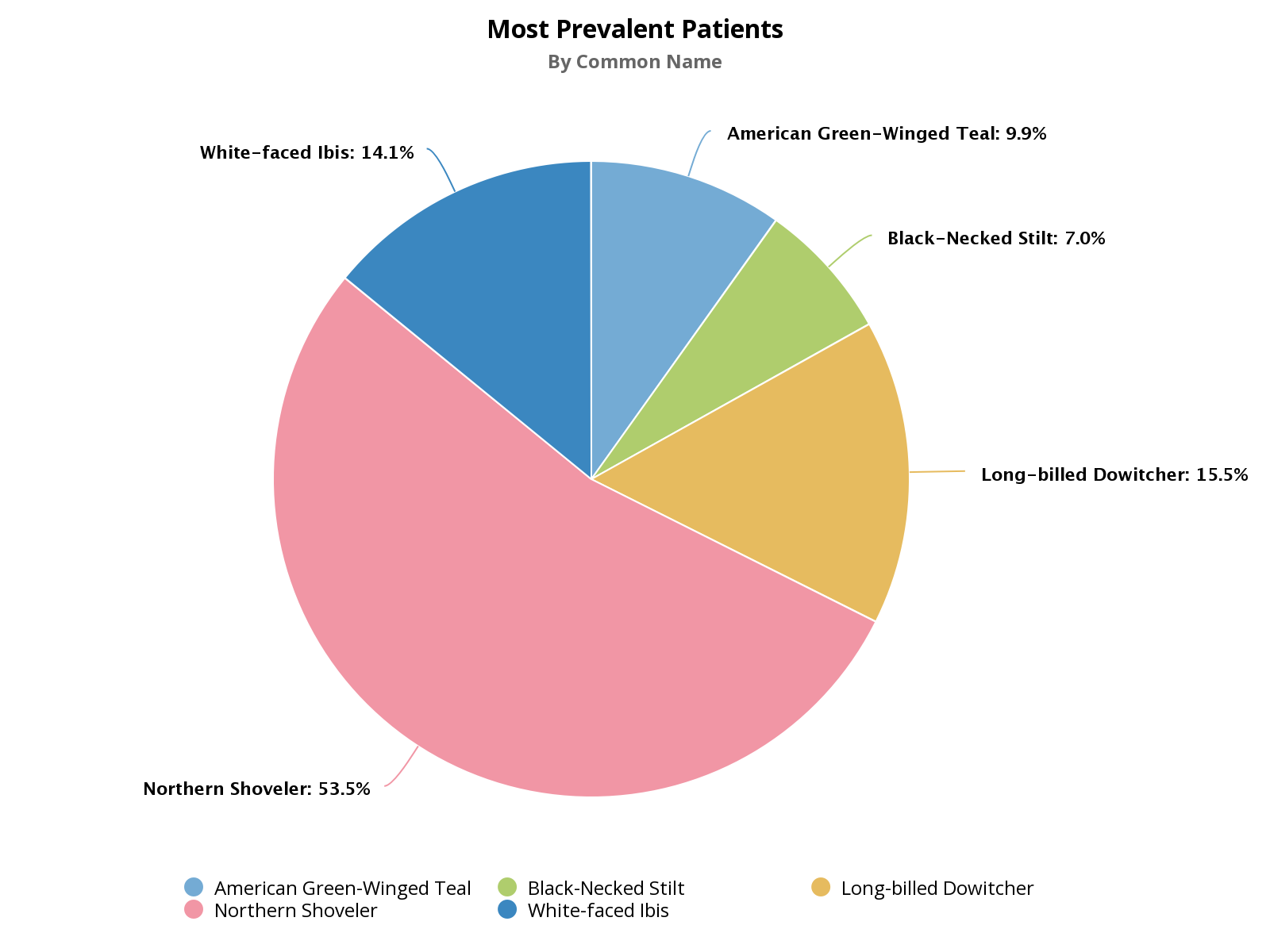 pie chart for most prevalent patients as of september 26, 2023
