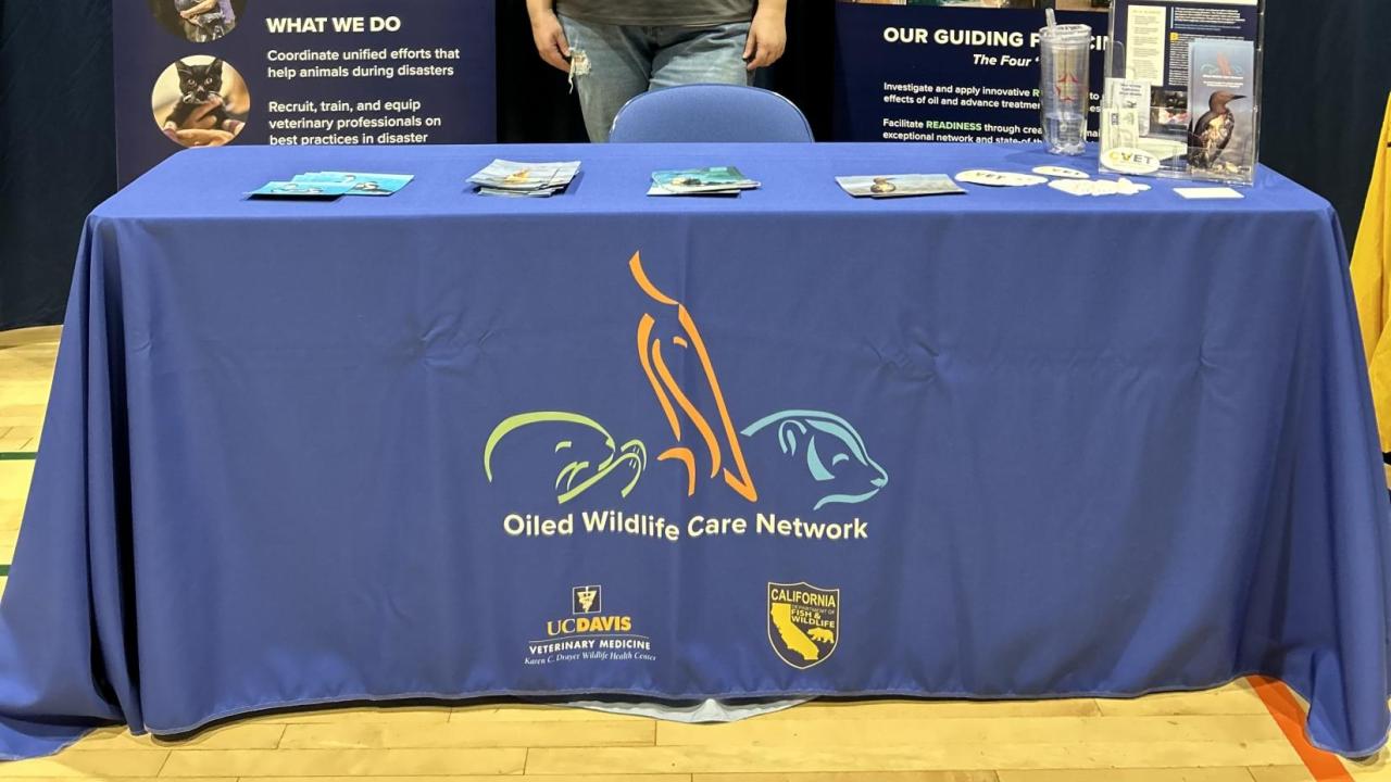 Frankie Lill tabling for OWCN and CVET