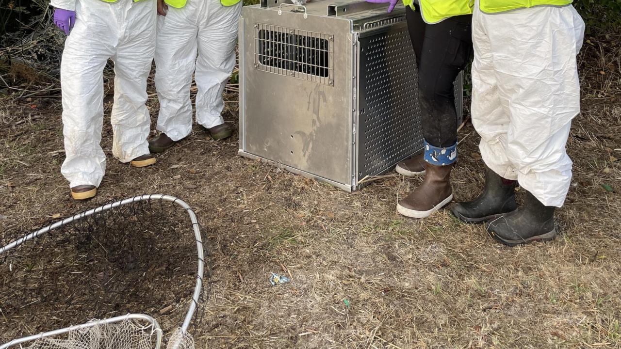 Field Recovery Team