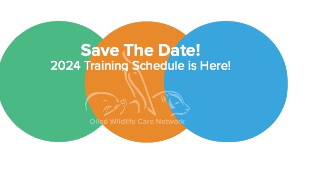 Save The Date
