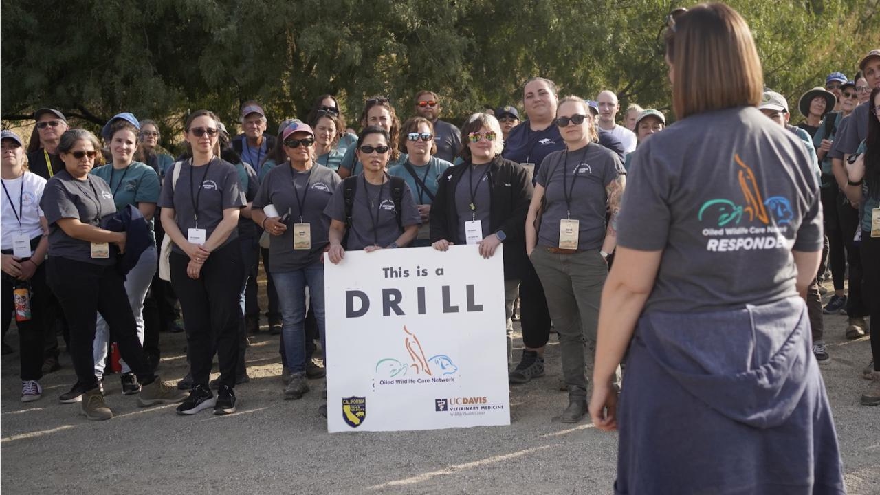 DRILL