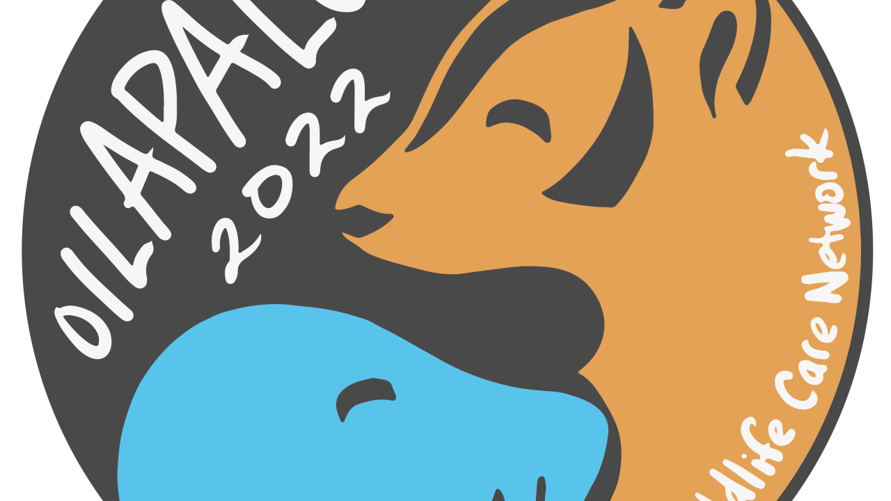 Oilapalooza Logo
