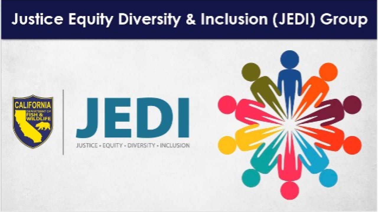 Justice, Equity, Diversity, and Inclusion Group pictogram