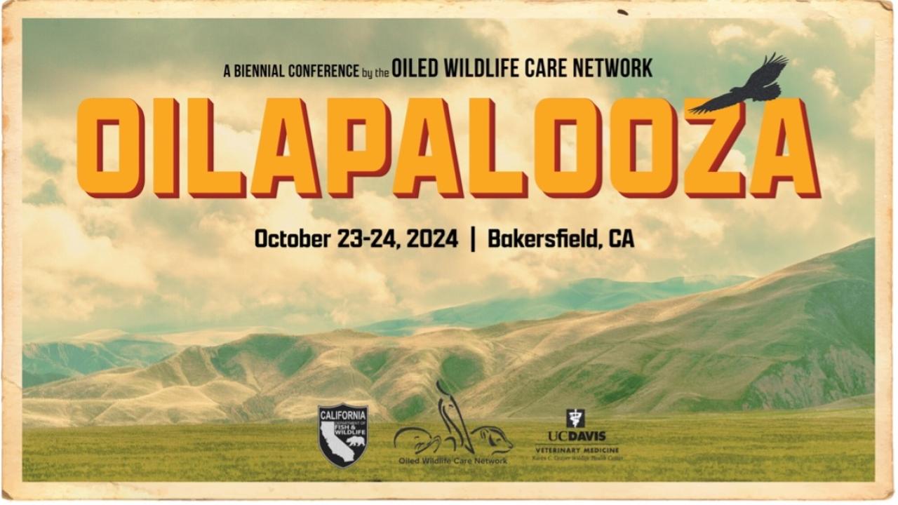 Oilapalooza STD