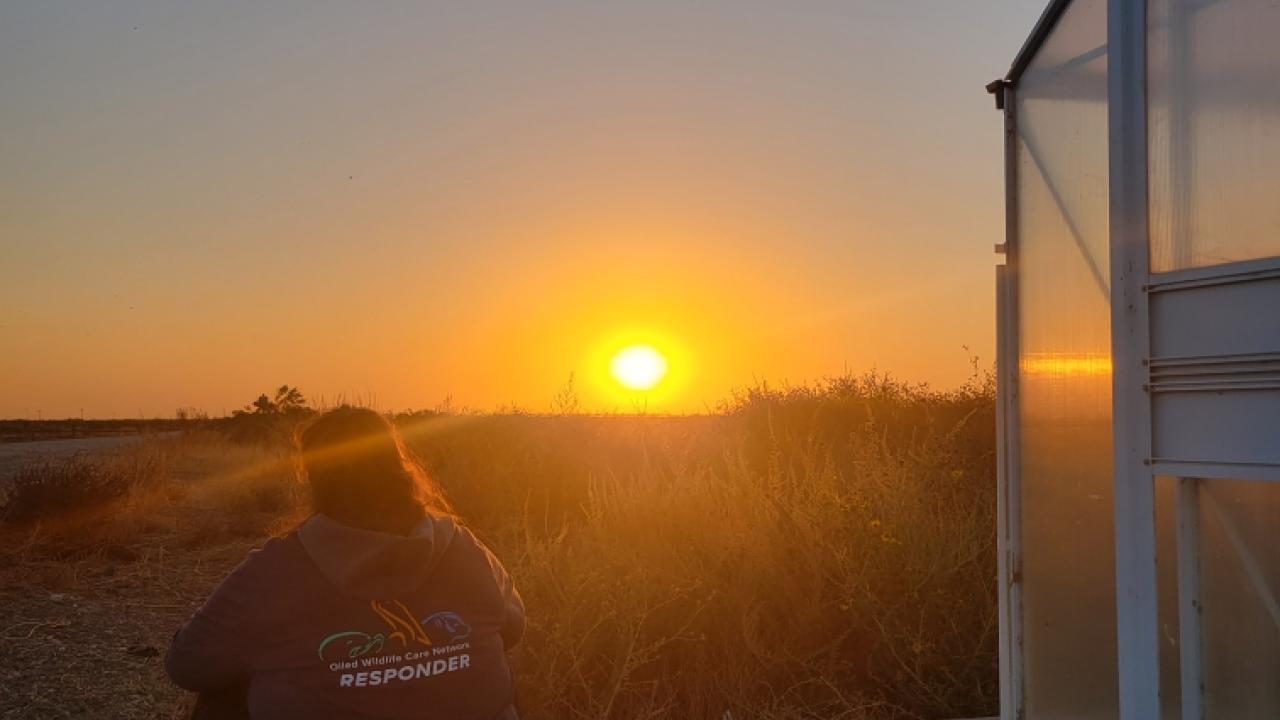 Frankie enjoys the sunrise at the Kern National Wildlife Refuge