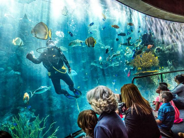 Aquarium of the Pacific