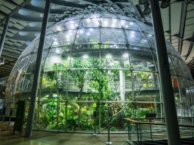 Cal Academy of Sciences