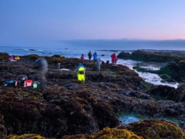 Humboldt State Marine