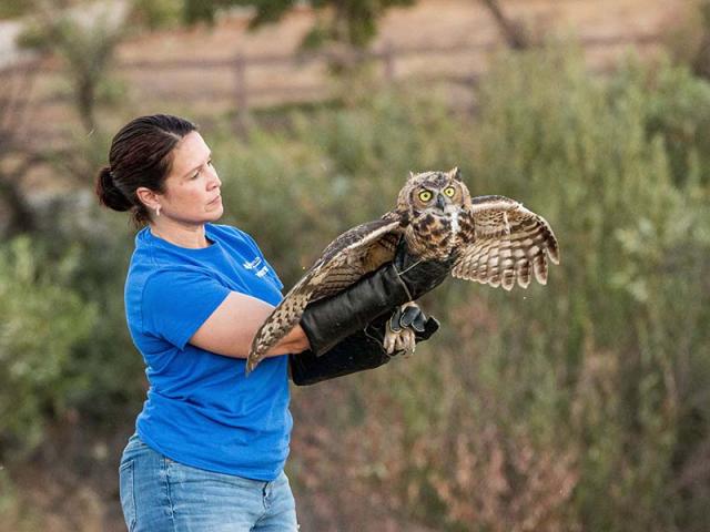 San Diego Humane Society Project Wildlife