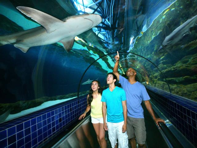 Six Flags Discovery Kingdom