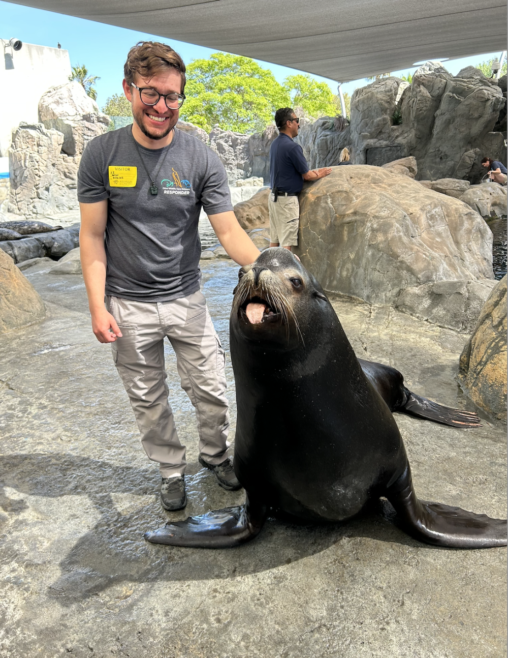 Parker the Sea Lion