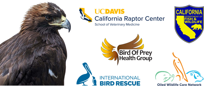 an eagle with organization logos