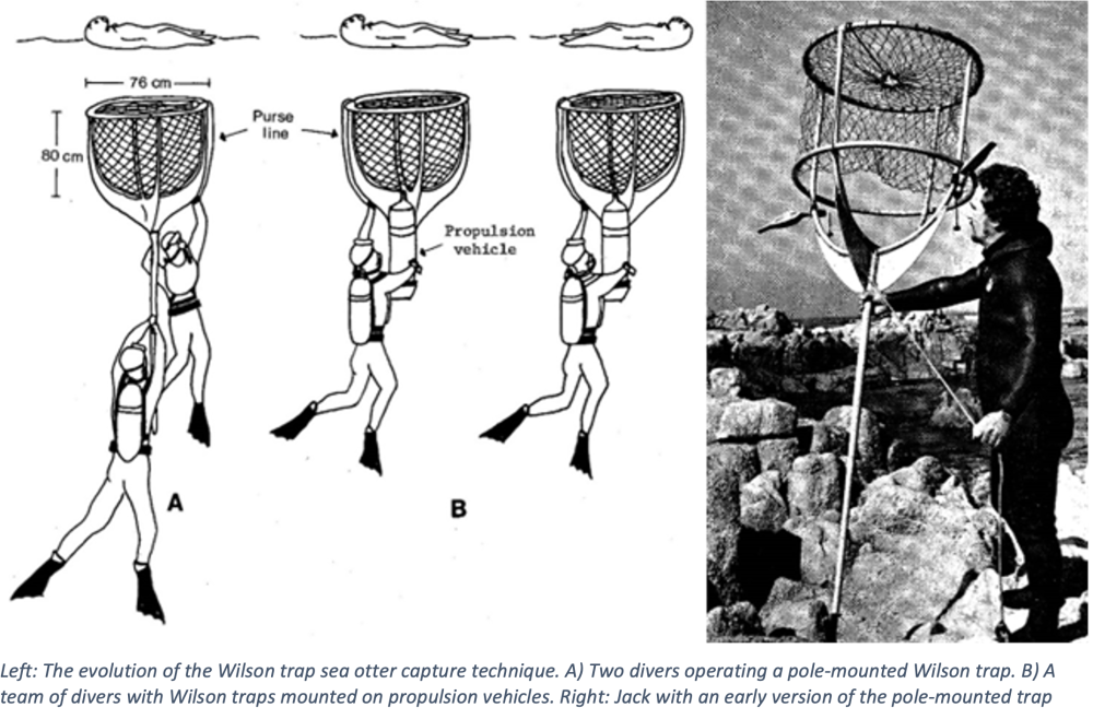 Photo of Wilson Trap