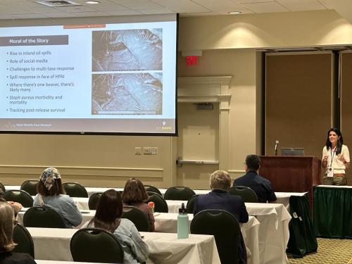 Jamie presenting at the 2023 WDA conference