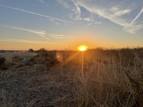 Sunrise