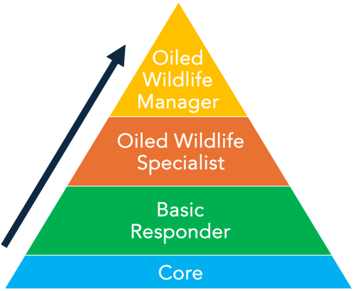 OWCN Training Pyramid