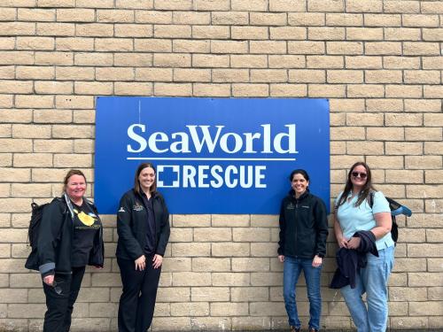 Wendy, Victoria, Jamie and Frankie at SeaWorld San Diego