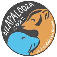 Oilapalooza Logo