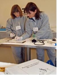Pam Yochem working at a training