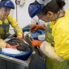 refugio oil spill responders washing an oiled brown pelican