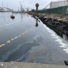 Pico oil spill